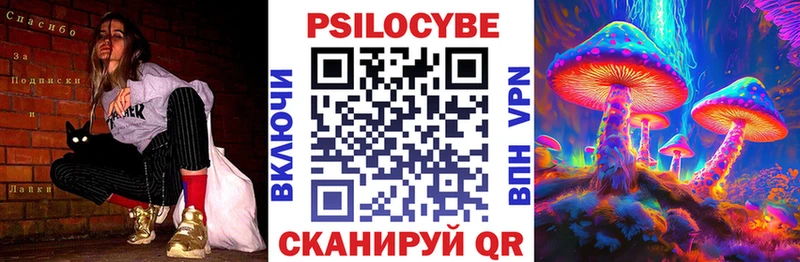 купить   Салават  Галлюциногенные грибы Cubensis 