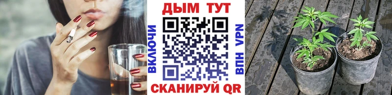 Каннабис индика Салават